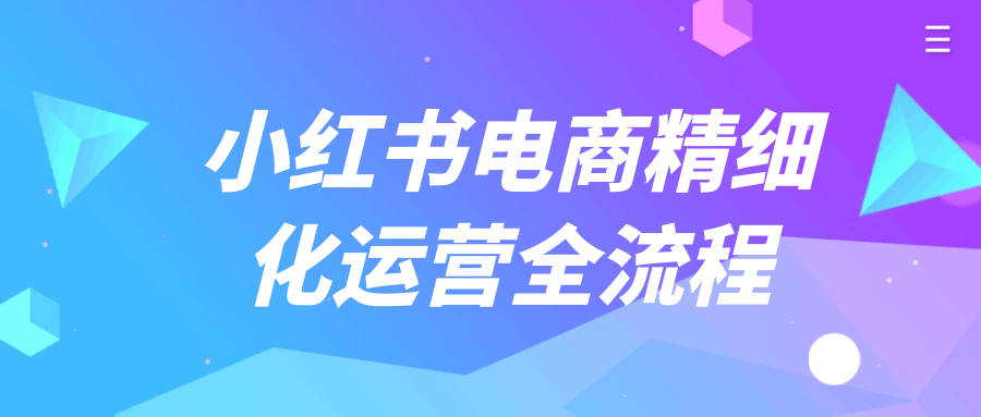 小红书电商精细化运营全流程-偶然资源网